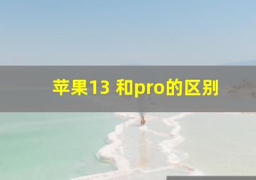 苹果13 和pro的区别