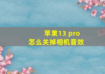 苹果13 pro怎么关掉相机音效