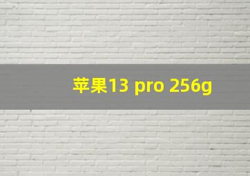 苹果13 pro 256g