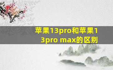 苹果13pro和苹果13pro max的区别