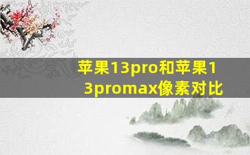 苹果13pro和苹果13promax像素对比