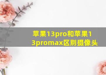 苹果13pro和苹果13promax区别摄像头