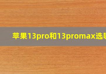 苹果13pro和13promax选哪个