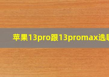 苹果13pro跟13promax选哪个