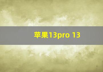 苹果13pro 13