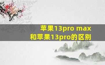 苹果13pro max和苹果13pro的区别