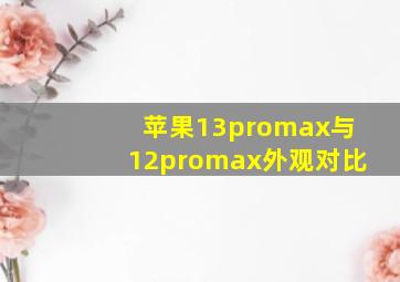 苹果13promax与12promax外观对比