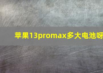 苹果13promax多大电池呀