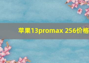 苹果13promax 256价格