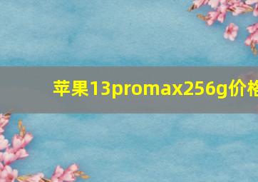 苹果13promax256g价格