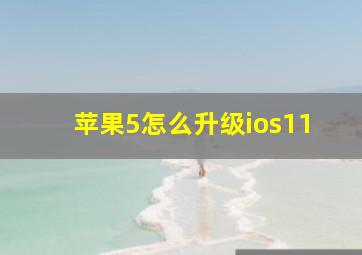 苹果5怎么升级ios11