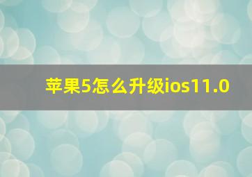 苹果5怎么升级ios11.0