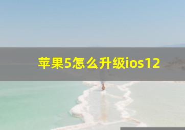 苹果5怎么升级ios12