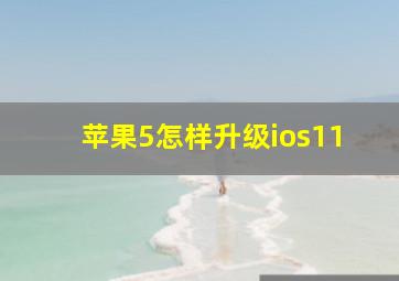 苹果5怎样升级ios11