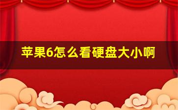 苹果6怎么看硬盘大小啊