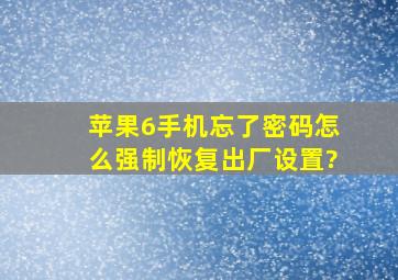 苹果6手机忘了密码怎么强制恢复出厂设置?