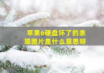 苹果6硬盘坏了的表现图片是什么意思呀