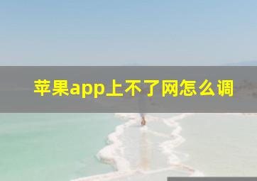 苹果app上不了网怎么调