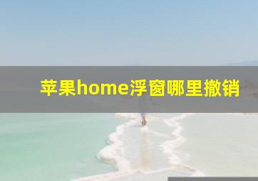 苹果home浮窗哪里撤销