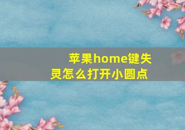 苹果home键失灵怎么打开小圆点