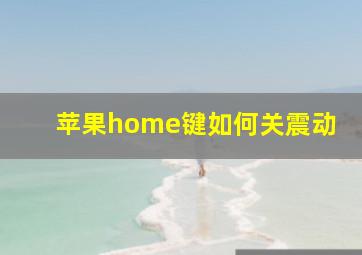 苹果home键如何关震动