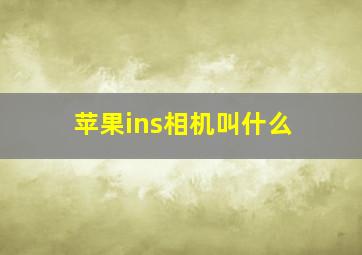 苹果ins相机叫什么