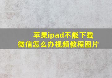 苹果ipad不能下载微信怎么办视频教程图片