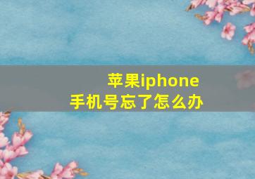 苹果iphone手机号忘了怎么办