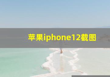 苹果iphone12截图