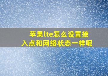 苹果lte怎么设置接入点和网络状态一样呢