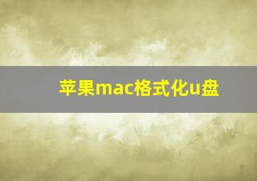 苹果mac格式化u盘