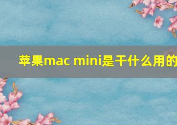 苹果mac mini是干什么用的