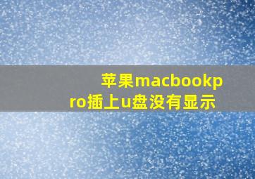 苹果macbookpro插上u盘没有显示