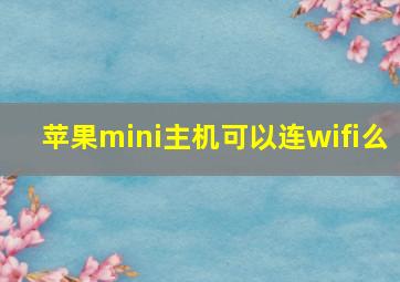 苹果mini主机可以连wifi么