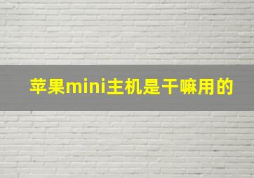 苹果mini主机是干嘛用的