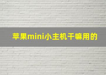 苹果mini小主机干嘛用的