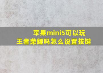 苹果mini5可以玩王者荣耀吗怎么设置按键