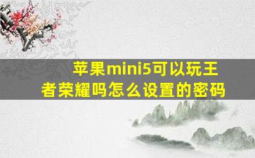 苹果mini5可以玩王者荣耀吗怎么设置的密码