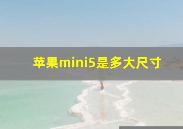 苹果mini5是多大尺寸