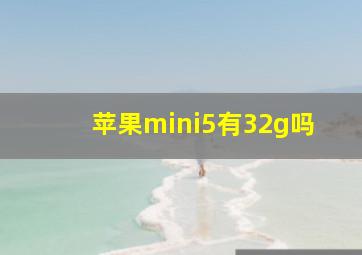 苹果mini5有32g吗