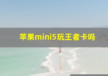 苹果mini5玩王者卡吗