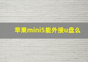 苹果mini5能外接u盘么