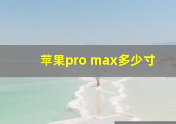 苹果pro max多少寸