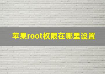 苹果root权限在哪里设置