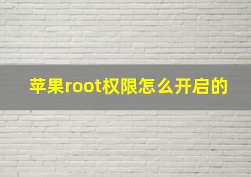 苹果root权限怎么开启的