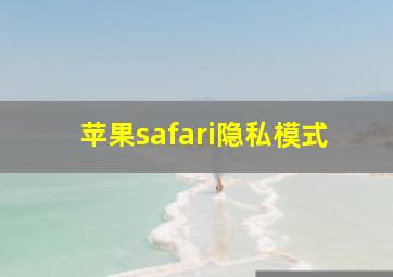 苹果safari隐私模式