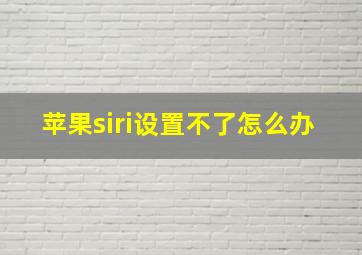 苹果siri设置不了怎么办