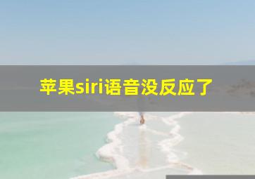 苹果siri语音没反应了