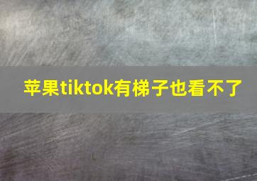 苹果tiktok有梯子也看不了