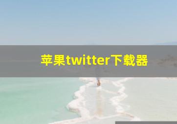 苹果twitter下载器